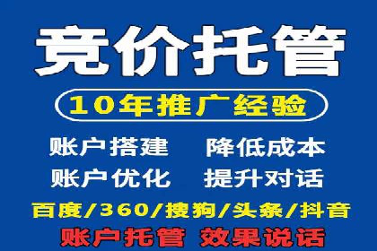 网络推广与竞价广告：双管齐下的策略案例